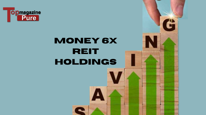 Money 6x REIT Holdings