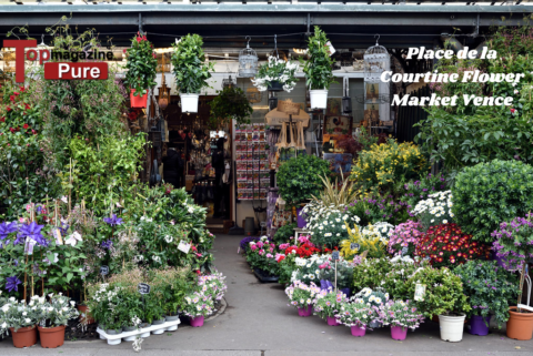 Place de la Courtine Flower Market Vence